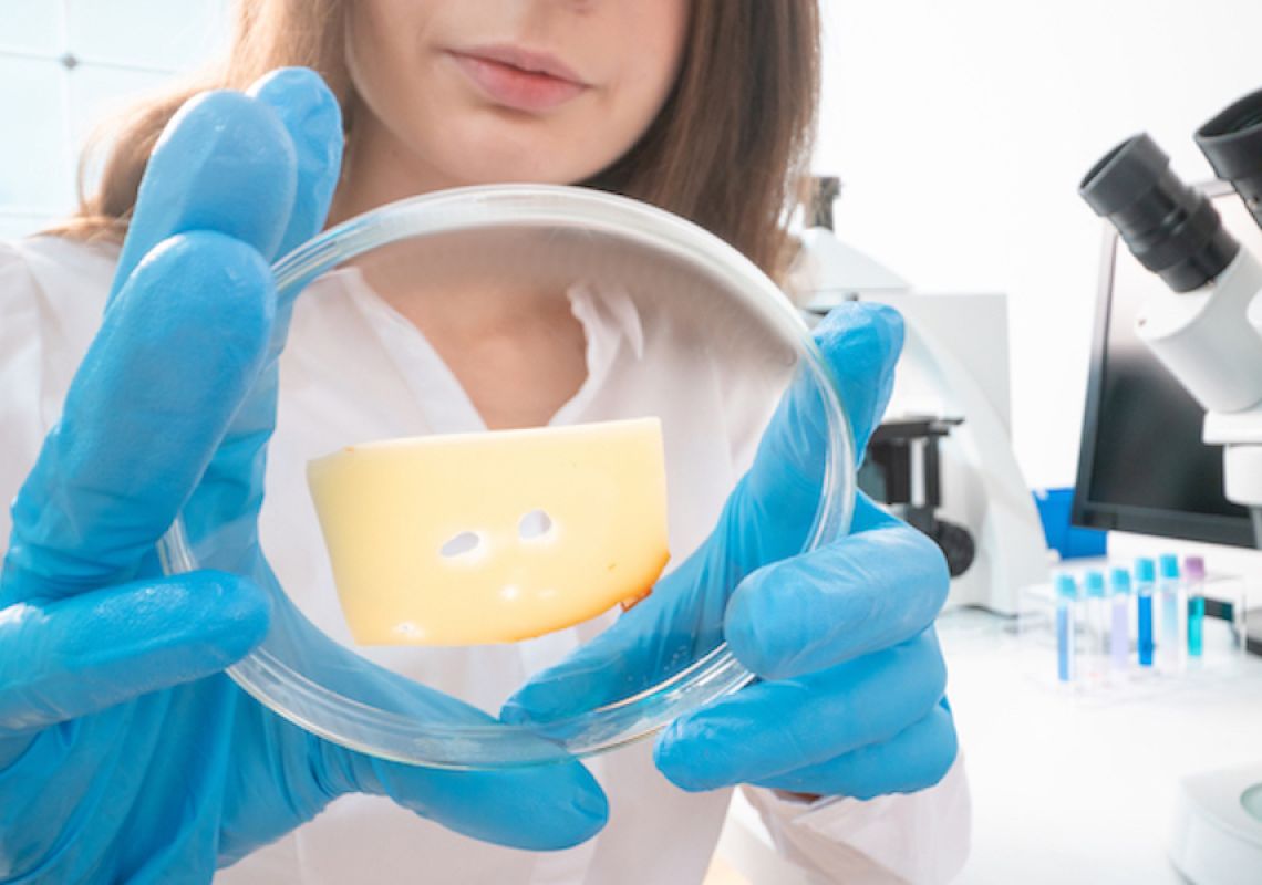 Addicted to cheese: the science behind the story