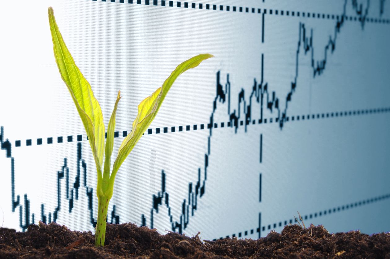 Deciding to Invest? An Opportunity Assessment